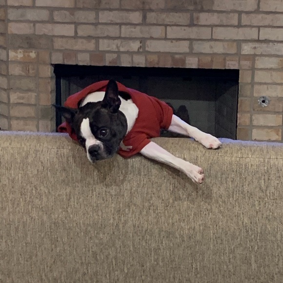 Meet your Posher, Clarice - Picture 2 of 13